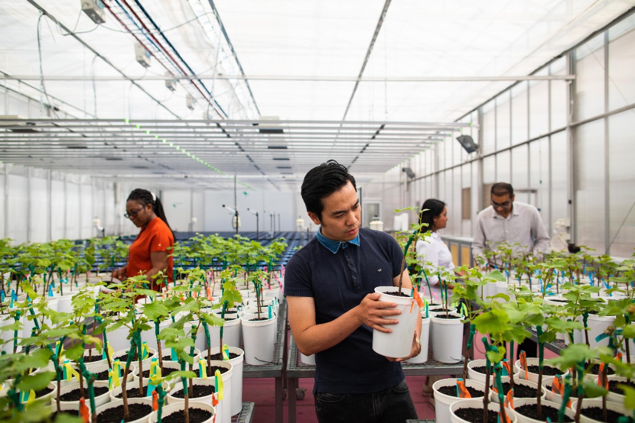 Adelaide Graduate Research School